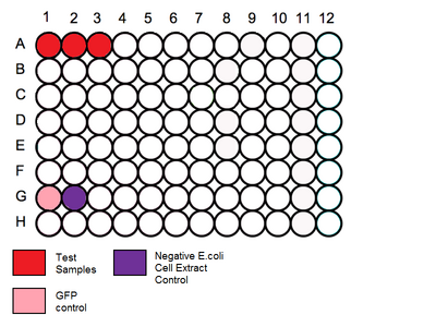96 Plate Schematic