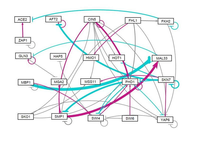File:2105.06.03 Weighted pos neg RanRun2 NW.jpg