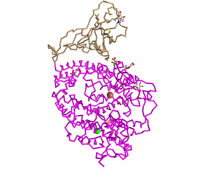 File:2ajf C alpha trace style.png