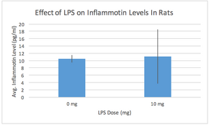 Results for rat test subjects