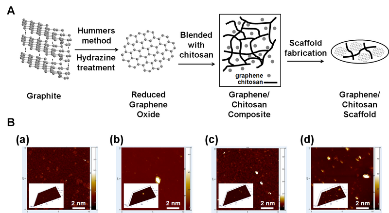 File:Figure 1 G CS BEE.tif
