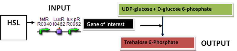 File:II09 OtsA Assay.png
