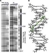 Bioorg Med Chem Lett