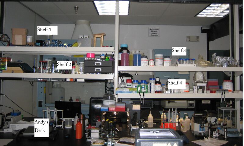 File:Wet Lab.JPG