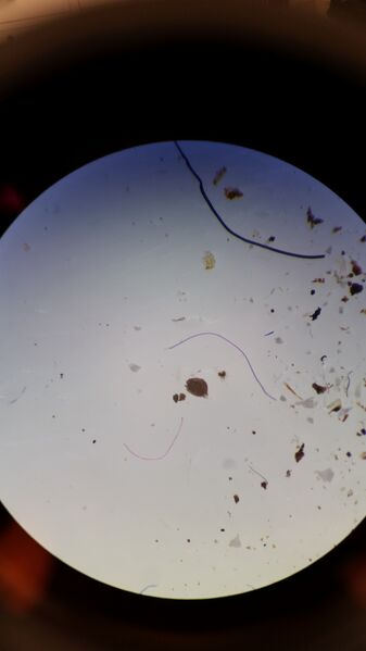 File:20160211 132655.jpg