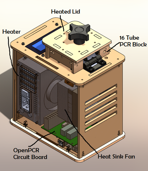 File:Group 12 PCR Image.png