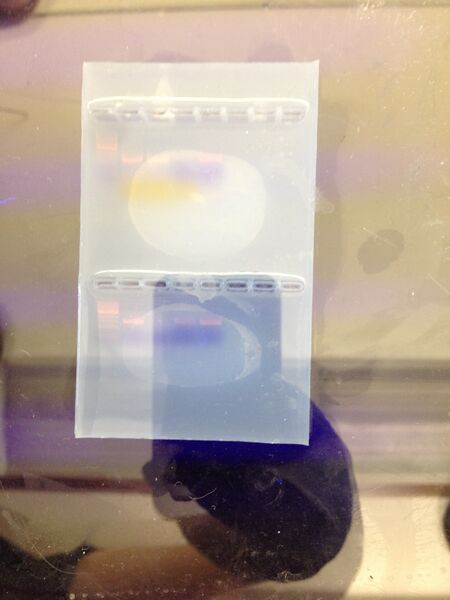 File:IMG ElectrophoresisJPG.JPG