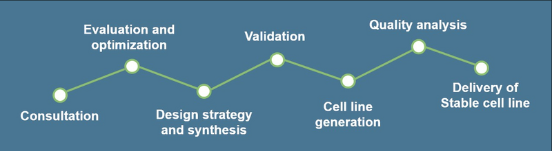 File:Knockout cell lines.png