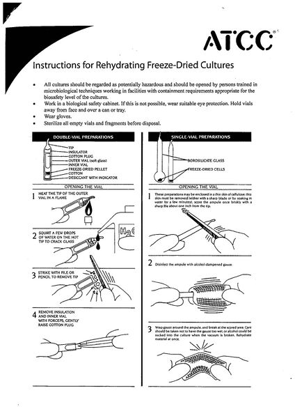 File:Rehydrating Freeze Dried Culture page1.jpg