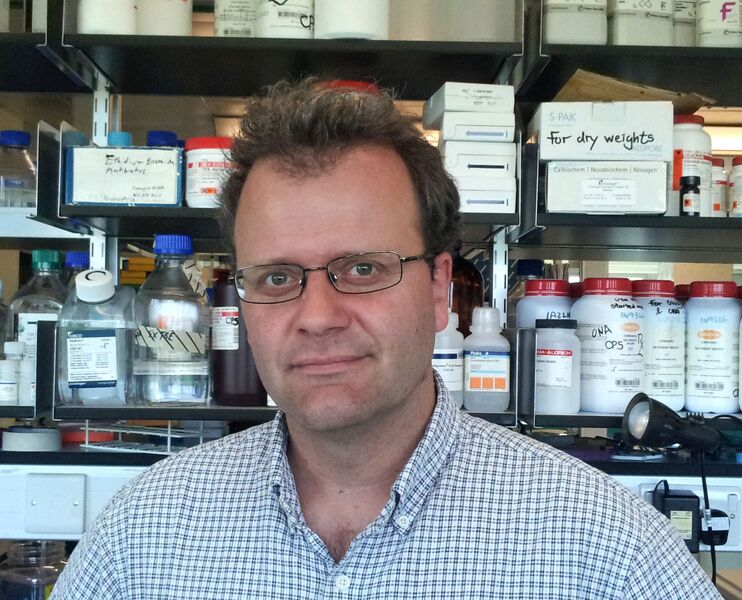 File:Andre Gerber.TIF