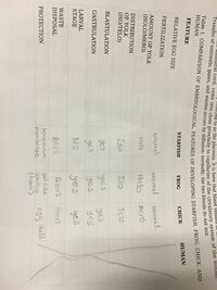 Table 1: Comparison of Embryological Features of Developing Starfish, Frog, Chick, and Human.