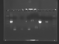 Thumbnail for version as of 20:28, 9 October 2008