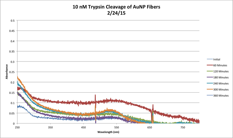 File:10nM Trypsin AbsvsTime Feb 24.png