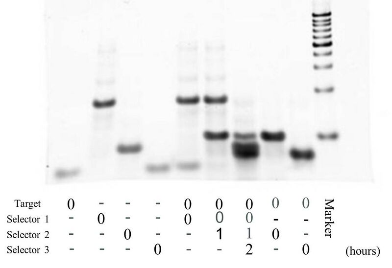 File:20120820 10- ②.jpg