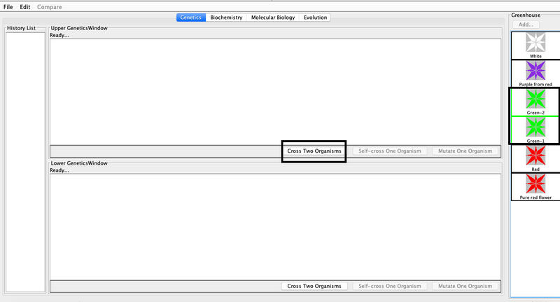 File:Bioinformatics step 2.png