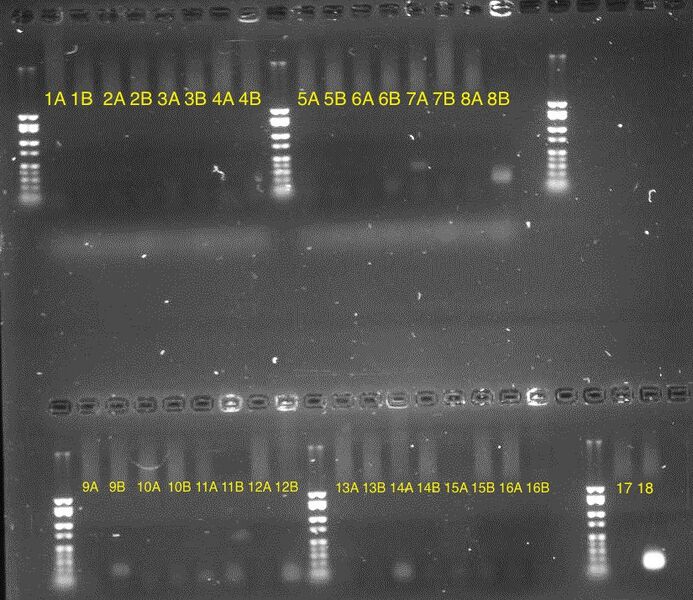 File:HistoricalWIWA Dickey Dec2015.jpeg