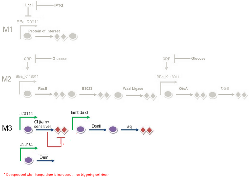File:II09 full circle M3.jpg