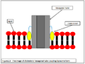 Thumbnail for version as of 16:32, 14 October 2012