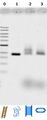 Thumbnail for version as of 14:22, 27 October 2012