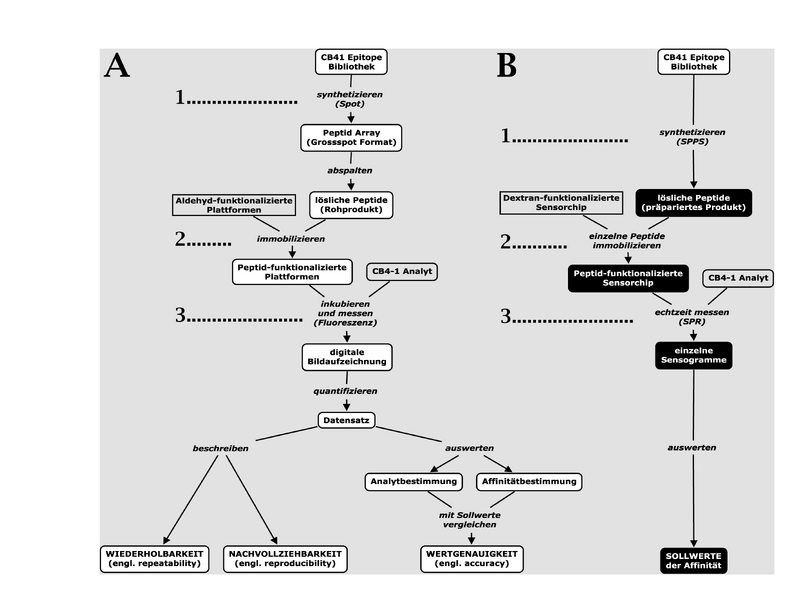 File:Mikroarray Messsystem.png