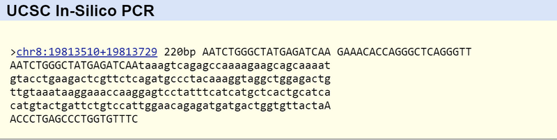 File:Primer Valid.jpg