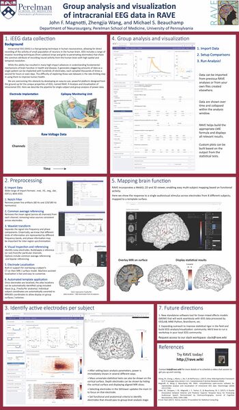 File:RAVE OHBM 2022 14June.jpg