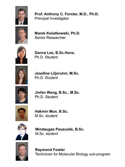 Minimal Cell Project