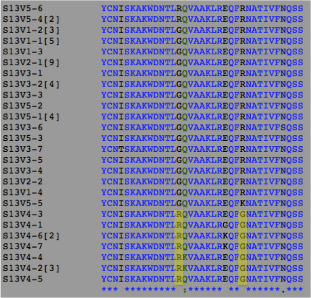 File:CHR Image4 20111026.png