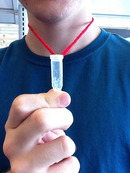 File:DNA necklace2.jpg