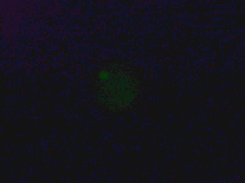 File:IC07 image114b.jpg