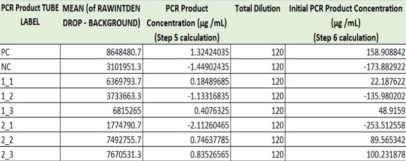 File:Jscirone LabDTable.jpg