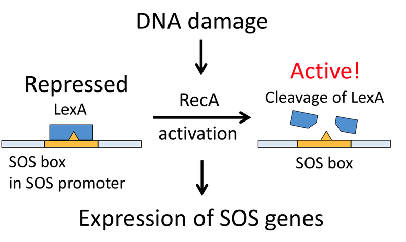 File:Screen shot 2013-01-29 at 1.47.18 PM.png