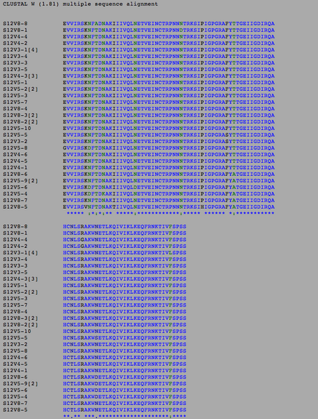 File:Sequence alignment for subject 12.png