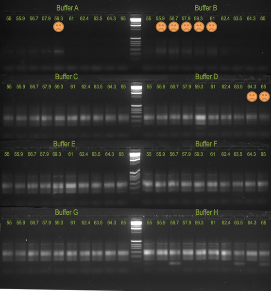 File:20111024 Gel.png