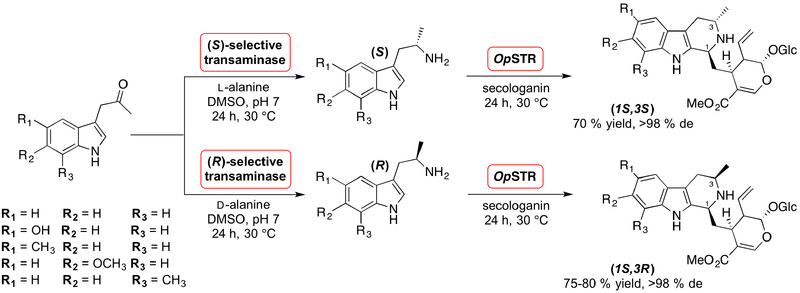 File:2016 Kroutil ACS2.png