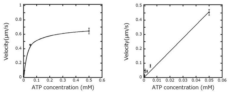 File:ATP standard curve.jpg