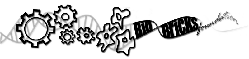 File:BBFoundation shadow.png