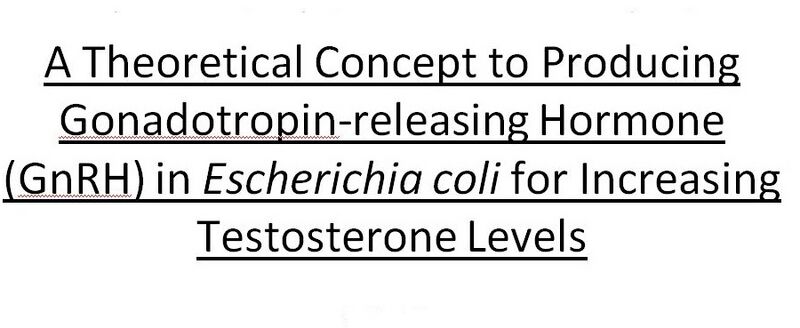 File:BME494 Group5 Title.jpg