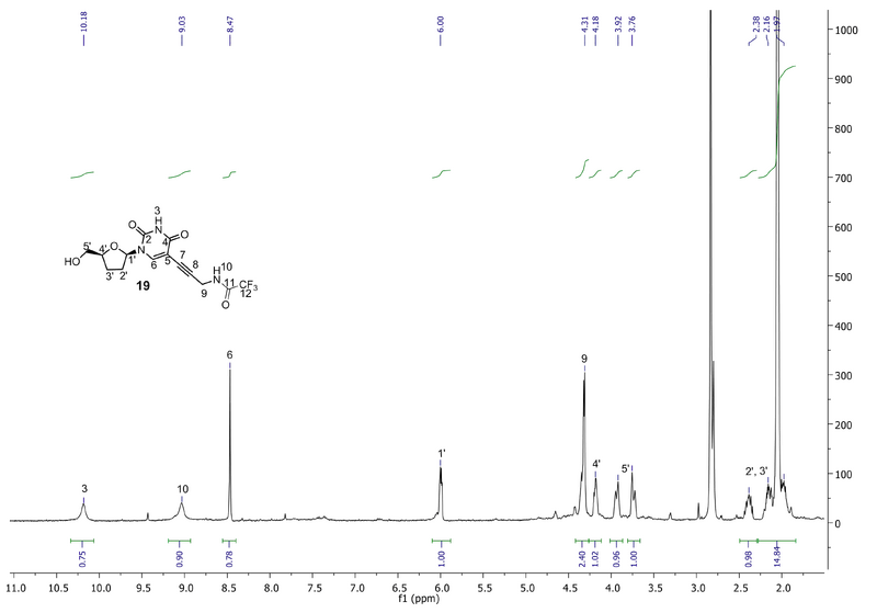 File:Biomod Aarhus Chem NMR 19H.png