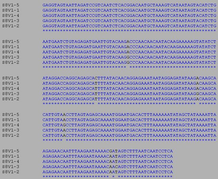 File:CHR Image5 20110914.jpg