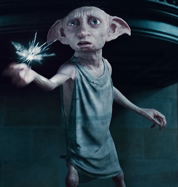 File:GROUP1-Dobby.jpg