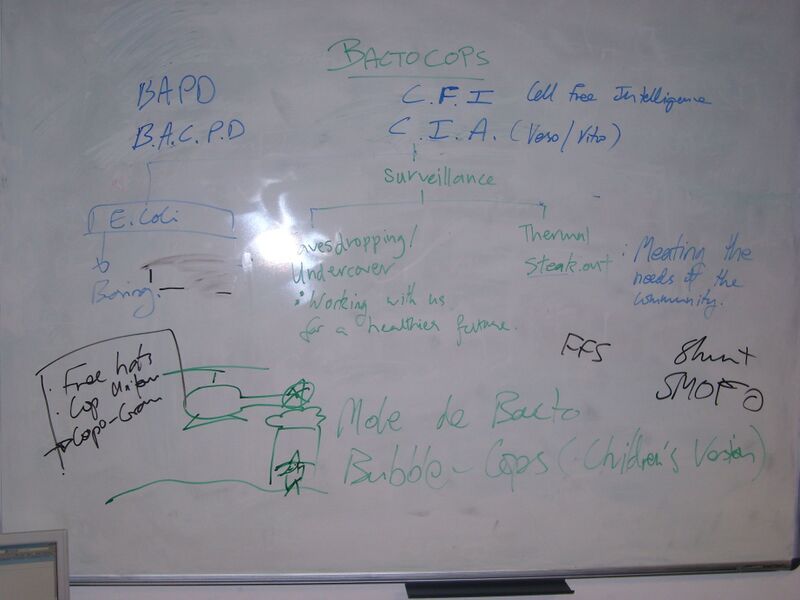 File:IC07 image031.jpg