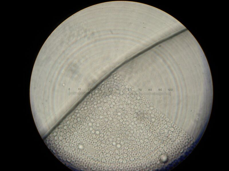 File:IC07 image093.jpg