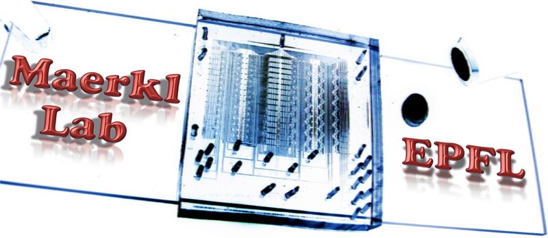 File:MaerklLab logo2.jpg