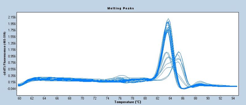 File:S13 M3D5 TR CNII-melt.jpg