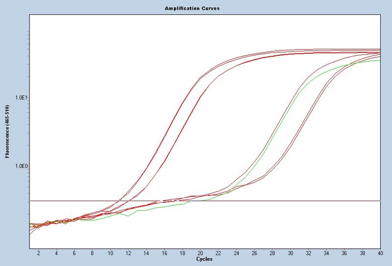 File:S14 M3D5 WFxt CNII-noiseband.jpg