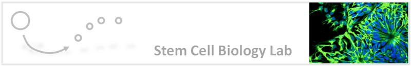 File:Stem cell biology lab.png