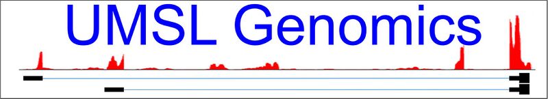 File:Umsl genomics banner.jpg