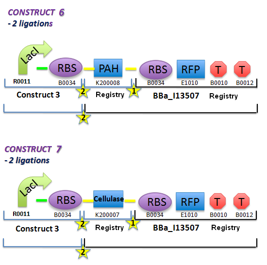 File:II09 ConstM1bbb.jpg