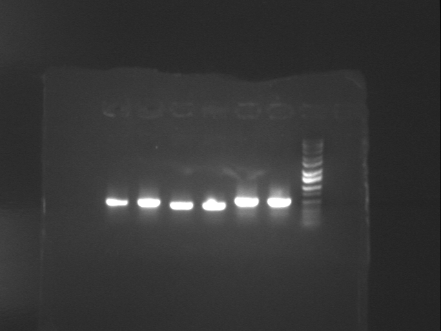 File:Key3 plus TT.jpg